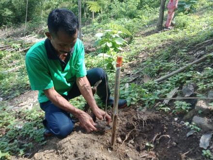 PEMDES JAJAR IKUT PERINGATI HARI GERAKAN SEJUTA POHON SEDUNIA